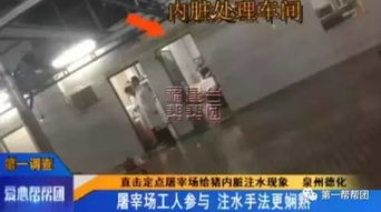 泉州生豬屠宰點(diǎn)曝注水丑聞，農(nóng)副產(chǎn)品安全引擔(dān)憂